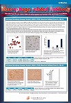 Macrophage related Antibody