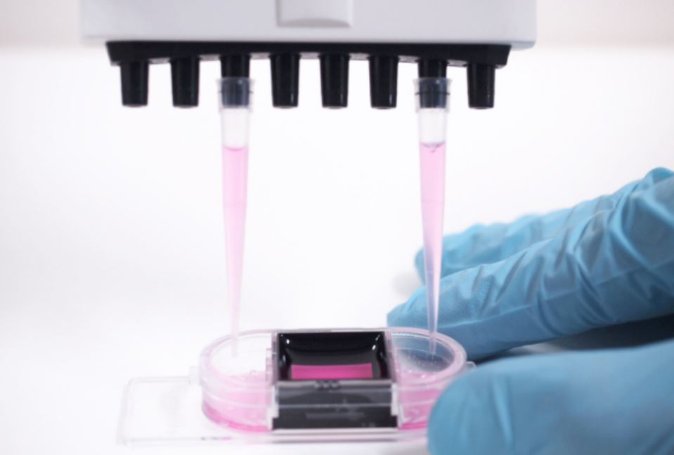 Fluid exchange by manual pipette