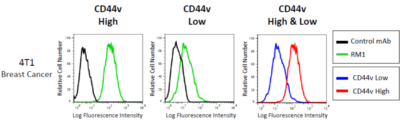 Anti CD44 v10-e16 mAb Antibody (Clone RM1) [Catalog No.: CAC-LKG