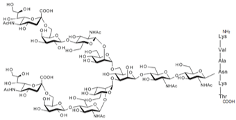 Sialylglycopeptide (SGP) [Catalog No.: FSP-171801-10, FSP-171801