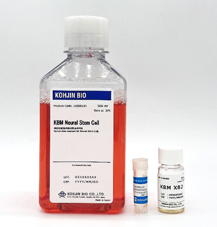 kjn-16050300_kbm-neural-stem-