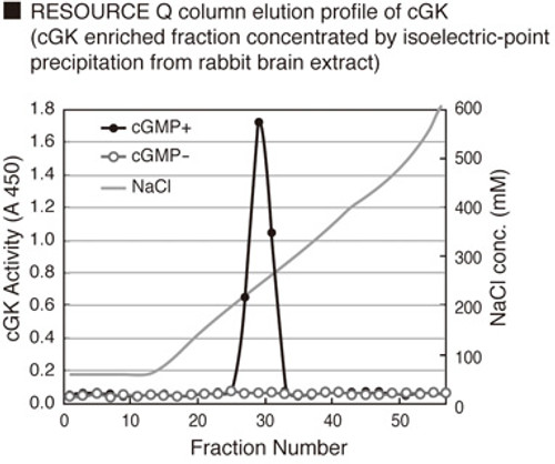 CycLex® Cyclic GMP dependent protein kinase (cGK) Assay Kit