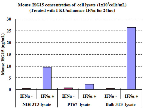 CircuLex Mouse ISG15 ELISA Kit