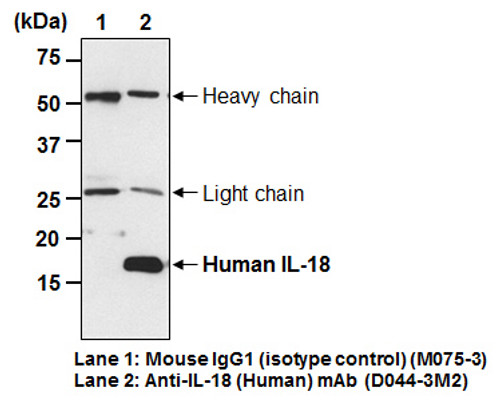 Anti-IL-18 (Clone 125-2H) (Human) mAb (Functional Grade) (Clone: 125-2H) Anti-IL-18 (Clone 125-2H) (Human) mAb (Functional Grade) (Clone: 125-2H)