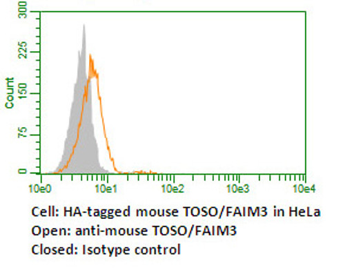 Anti-FcmuR (TOSO/FAIM3) (Mouse) mAb (Clone: #4B5)