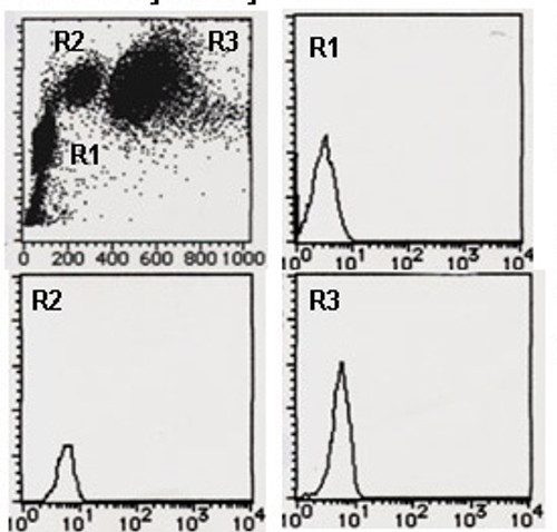 Rat IgG2b (isotype control) (Clone: 3G8)