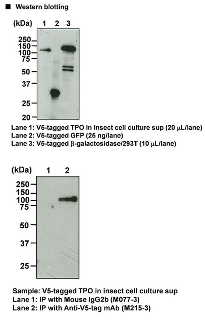 Anti-V5-tag mAb-HRP-DirecT (Clone: OZA3)
