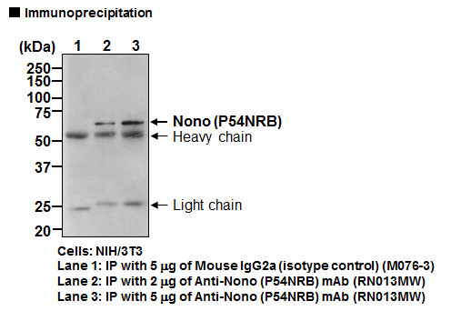 Anti-Nono (P54NRB) mAb (Clone: C5)