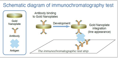 Gold Nanoplates