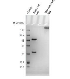 In vivo Grade Human IgG1 kappa Isotype Control-CrownVivo