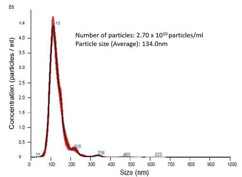NanoSight particle size distribution data