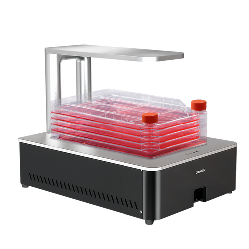 Celloger Stack Live Cell Imaging