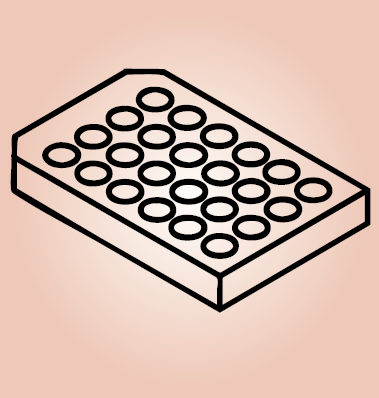 Porcine IL-6 ELISA Kit