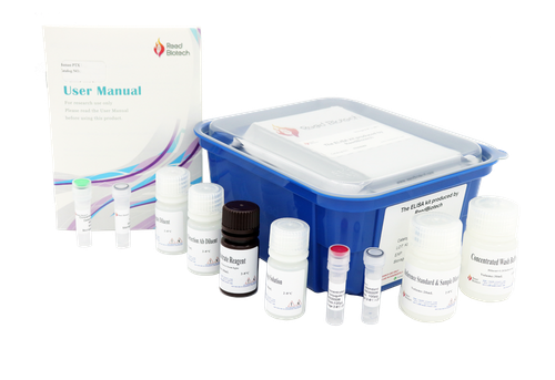  Mouse ICAM-1/CD54 (intercellular adhesion molecule 1) ELISA Kit