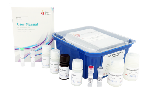 Fast Step Mouse IGFBP-5 (Insulin-like Growth Factor Binding Protein 5) ELISA Kit