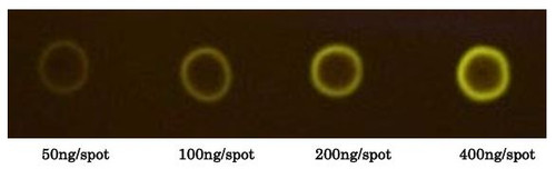 Fluoresceinamine-Labeled Sodium Dermatan Sulfate (Porcine Skin)
