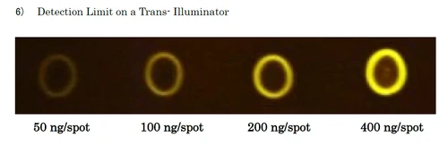 Fluoresceinamine-labeled Sodium Chondroitin Sulfate E (Squid Cartilage)