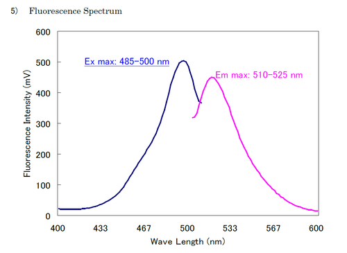Fluoresceinamine Labeled Sodium Dermatan Sulfate (B1, Porcine Skin)