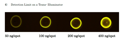 Fluoresceinamine Labeled Sodium Hyaluronate (H2)