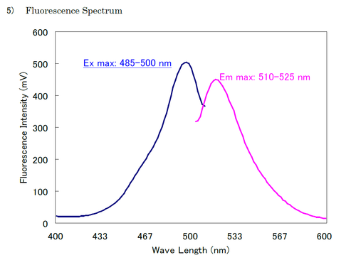 Fluoresceinamine Labeled Sodium Hyaluronate (H2)
