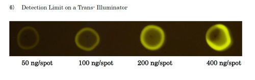 Fluoresceinamine Labeled Sodium Hyaluronate (U1)
