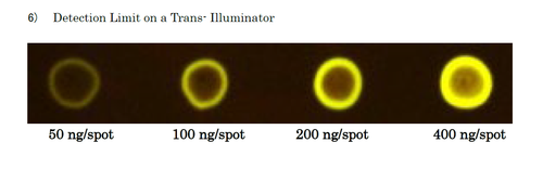 Fluoresceinamine-labeled Sodium Heparan Sulfate (Porcine Kidney)