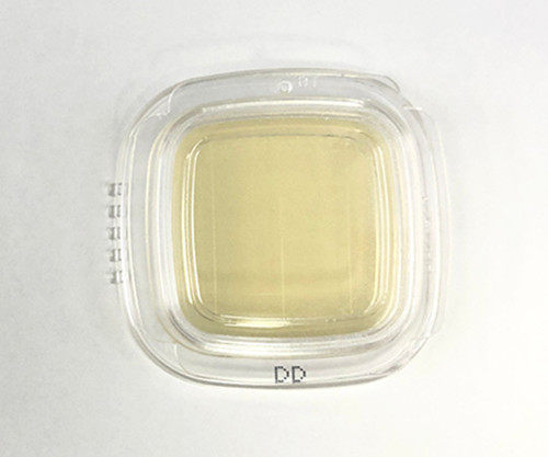 Kyokuto Pharmaceutical Indust.Co., Ltd