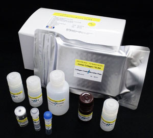 Human Collagen type I, ELISA Kit