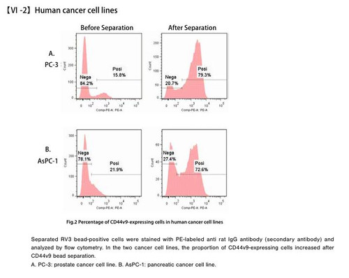 Magnetic Cell Separation Kit for Human CD44v9+ Cancer Stem Cell