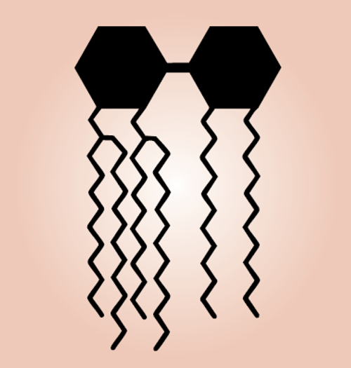 PrEST Antigen FOXO1 (ATL-APrEST77451)