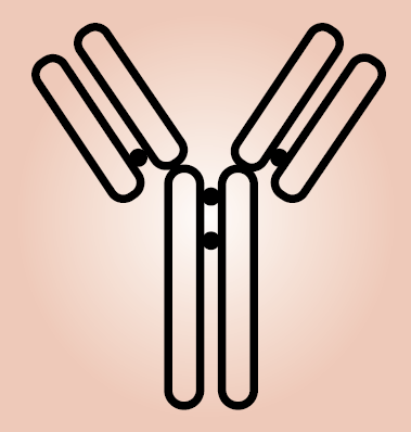 PrEST Antigen KTI12 (ATL-APrEST94082)