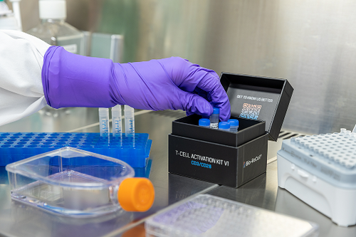 Atract™ T-Cell Activation Kit V1, CD3/CD28 [Catalog No.:BRC-AT-V1-010]