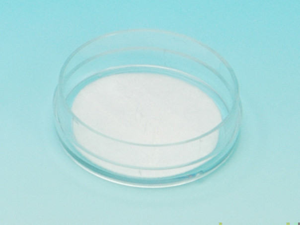 Collagen sponge for 35mm culture dish [Catalog No.: KOU-CS-35]