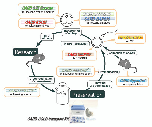 CARD FERTIUP® PM 0.5ML MEDIUM set [Catalog No.: KYD-005-EX]