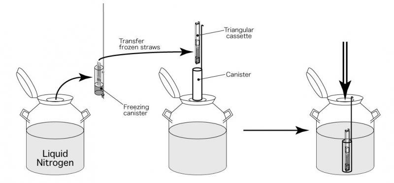 cannister-etc.jpg