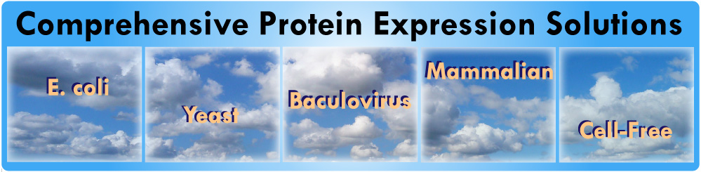 cusabio-custom-protein-banner.jpg