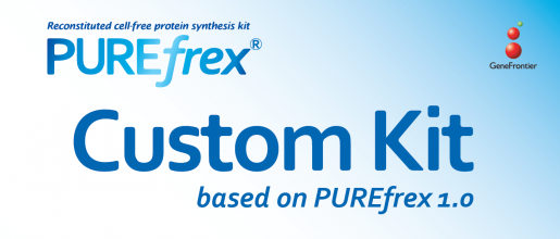 custom-kit-logo.png