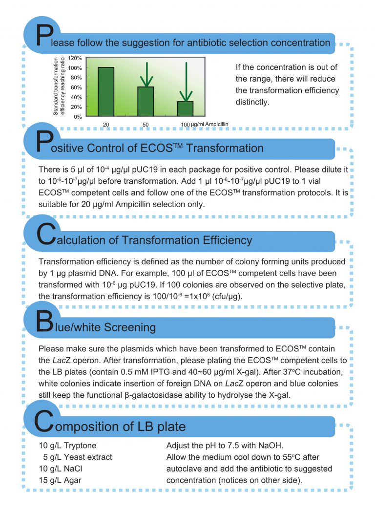 ecos-card2-768x1056.jpg