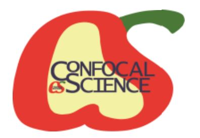 logo-cfs.jpg