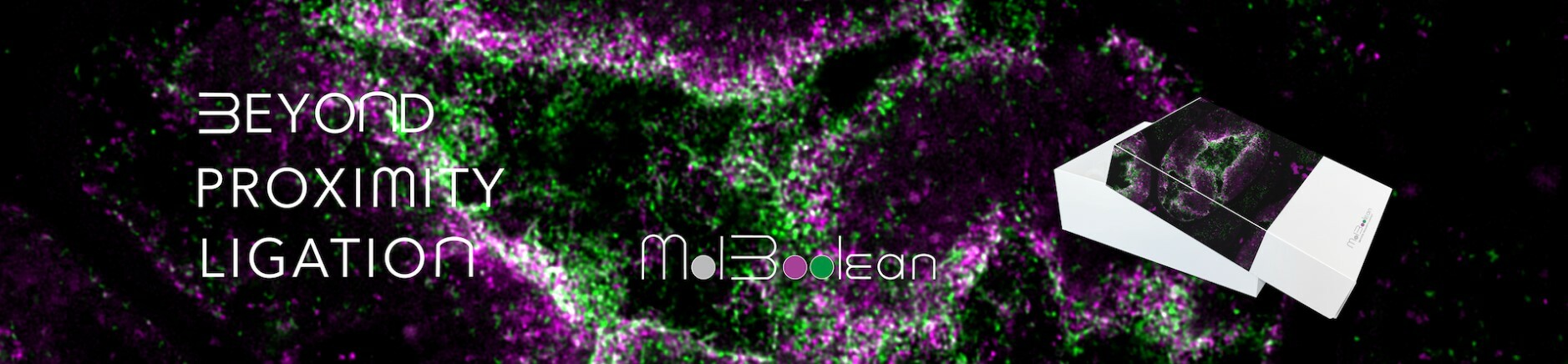molboolean-banner.jpg