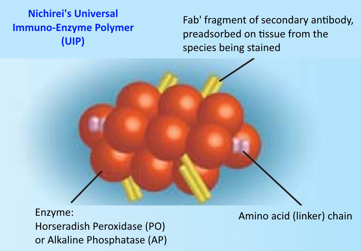 nic-uip1a.jpg