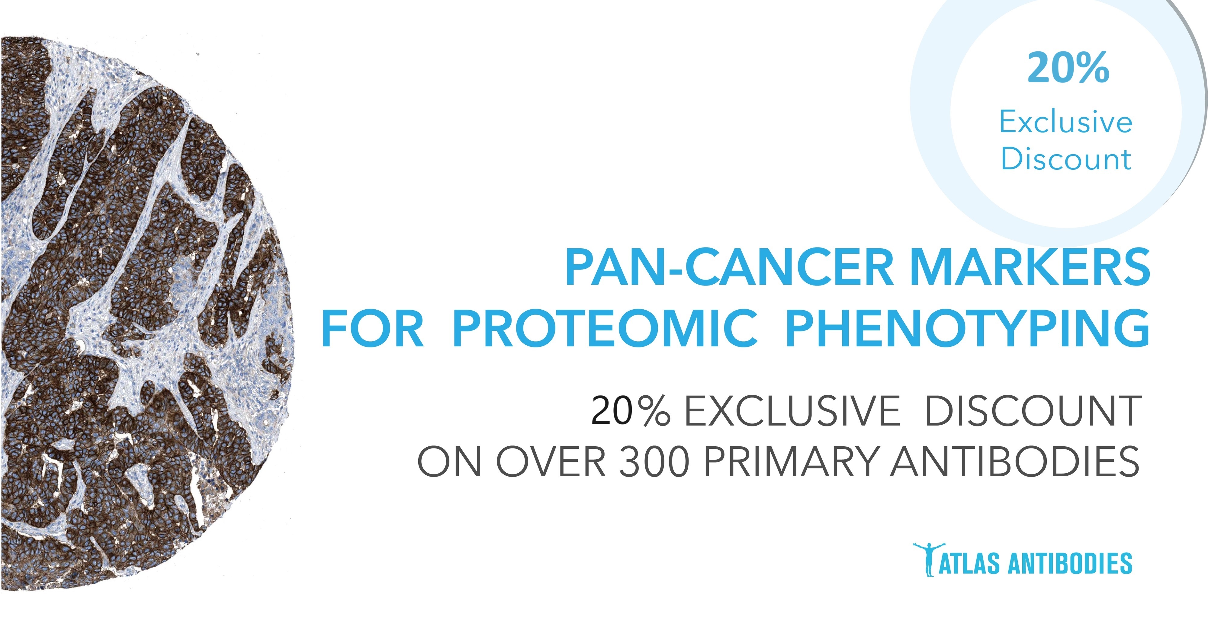pan-cancer-campaign-visuals-atlas-antibodies-20-2.jpg
