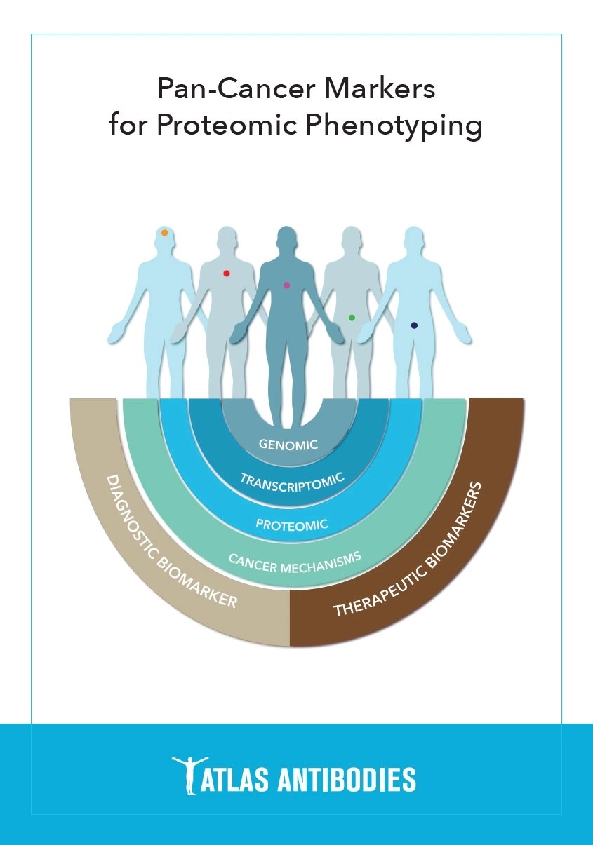 pan-cancer-markers-for-proteomic-phenotyping-cover.jpg