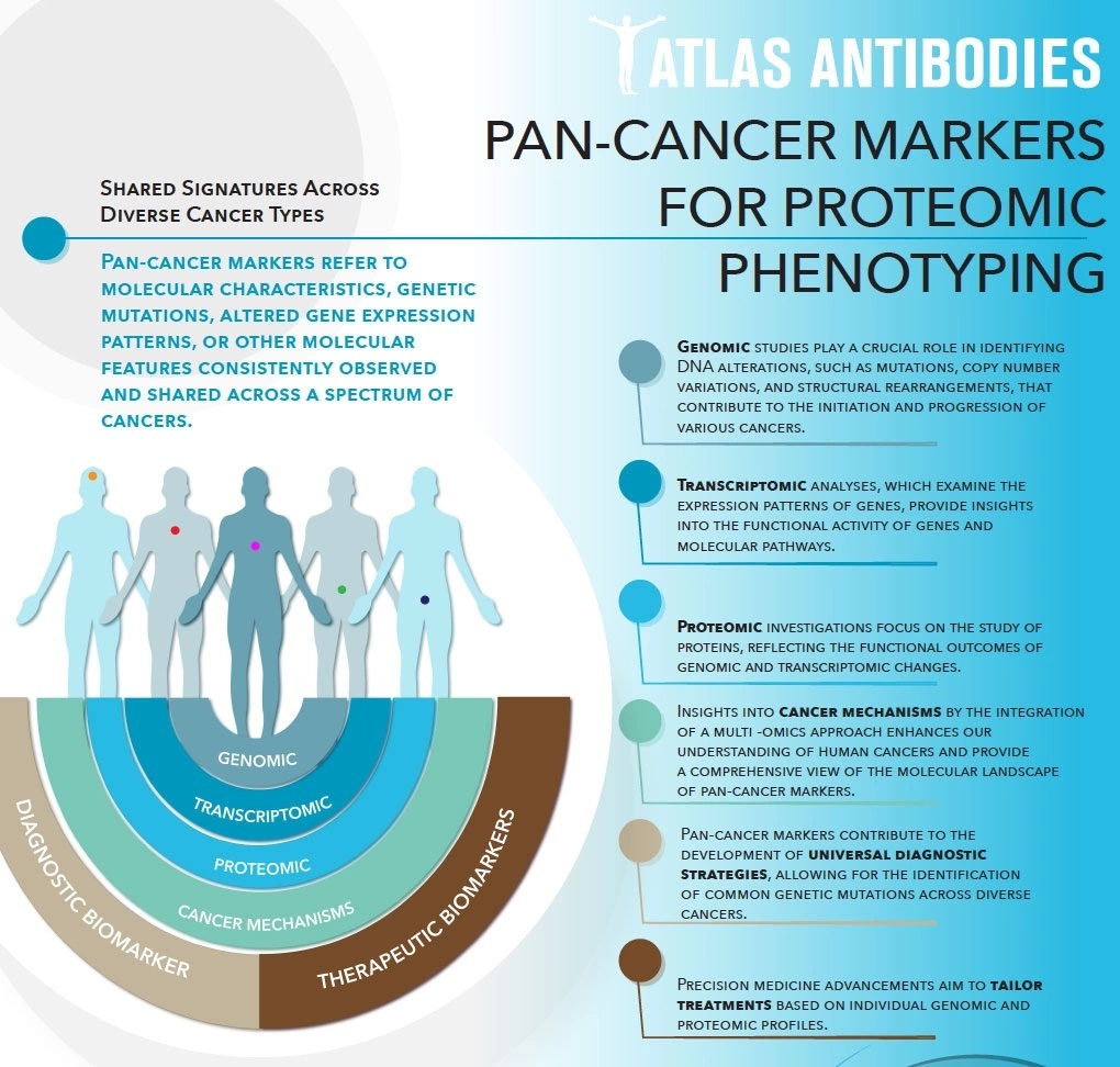 pan-cancer-markers-for-proteomic-phenotyping-infographic.jpg