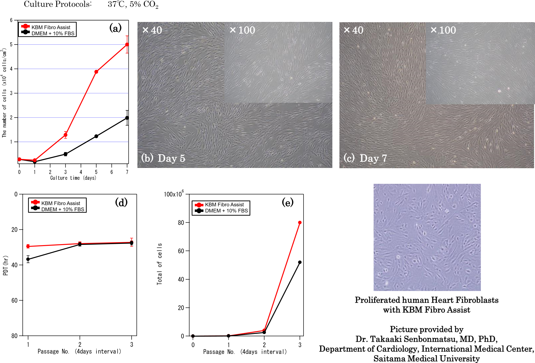 picture6.png
