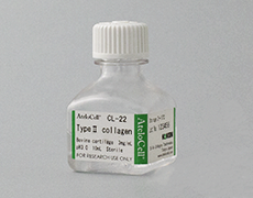 type-collagen-1.png