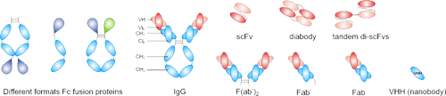 type-recombinant-antibody.png