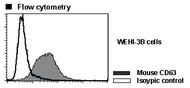 Anti-CD63 (LAMP-3) (Mouse) mAb (Clone: R5G2)