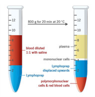 Lymphoprep