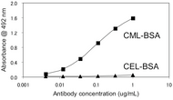 Figure 2. Immunoreactivity of the CML(2G11) monoclonal antibody to CML-BSA and CEL-BSA.